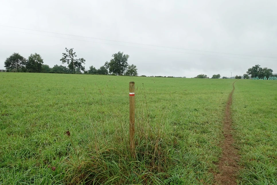 image_8286652991516117305383.jpg?type=w966