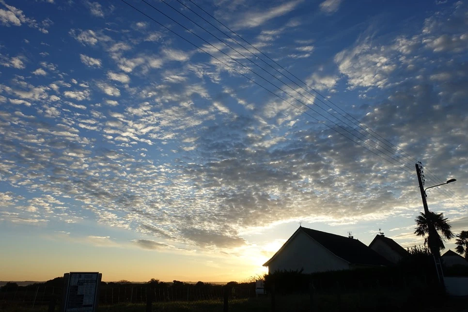 DSC02630.jpg?type=w966