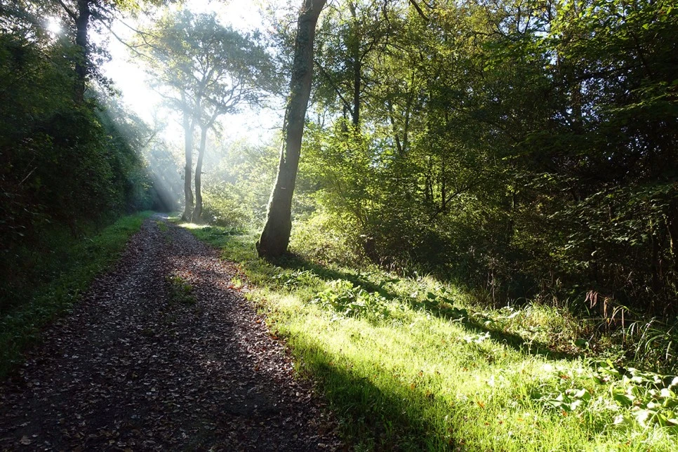 image_2940271271519039608640.jpg?type=w966