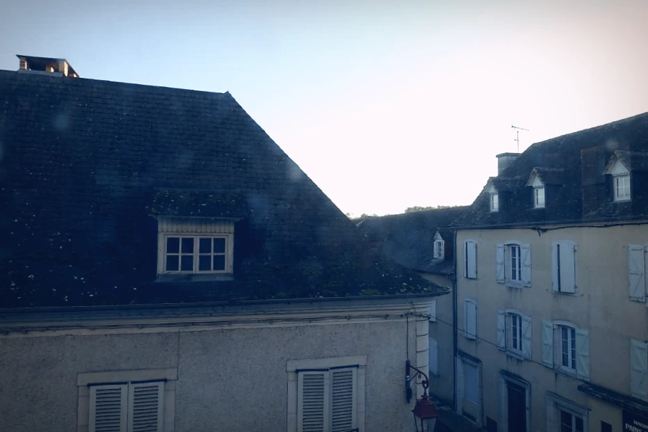 DSC02668.jpg?type=w966