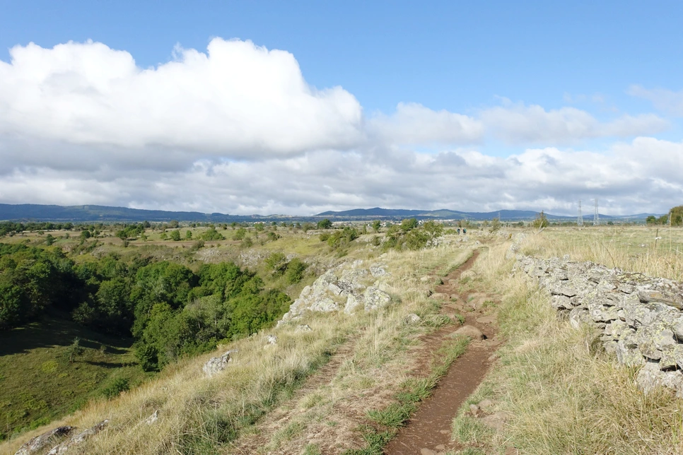 image_1164085051514899296279.jpg?type=w966