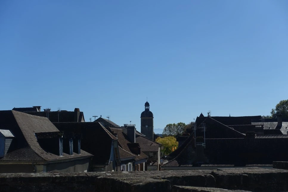 DSC02686.jpg?type=w966