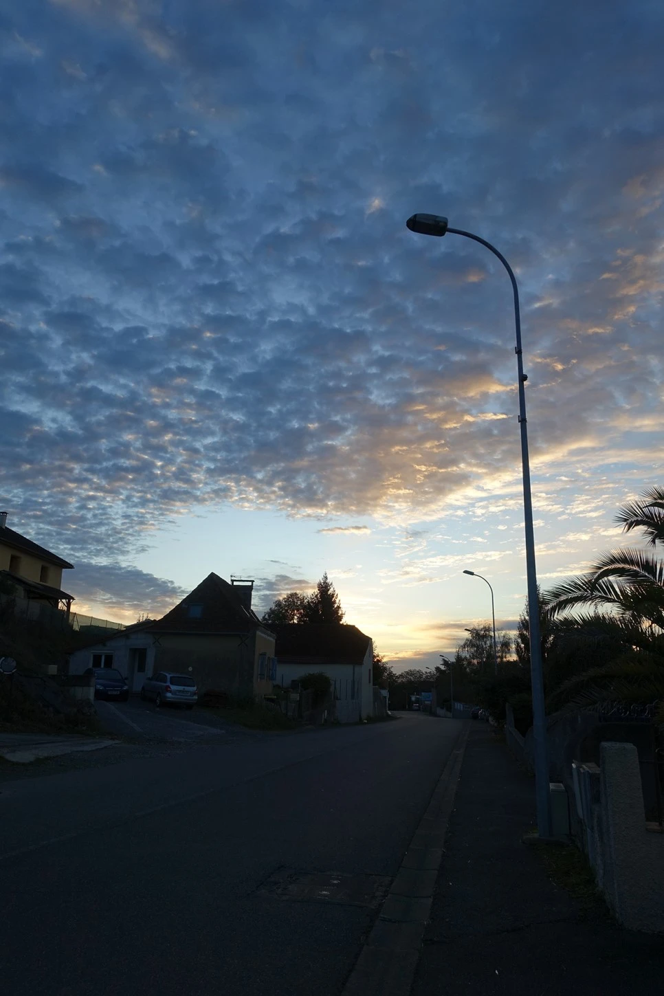 image_8577963091519039608631.jpg?type=w966