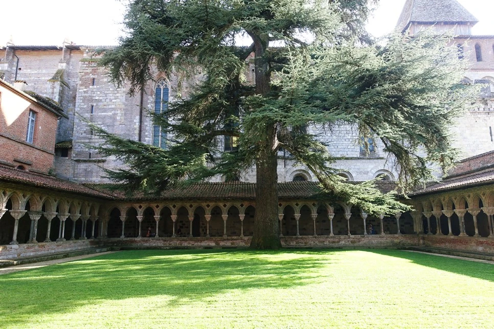 image_6614991901516700233518.jpg?type=w966