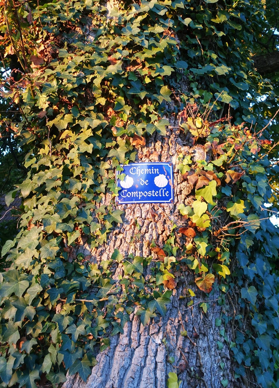 image_2144520481519039608632.jpg?type=w966