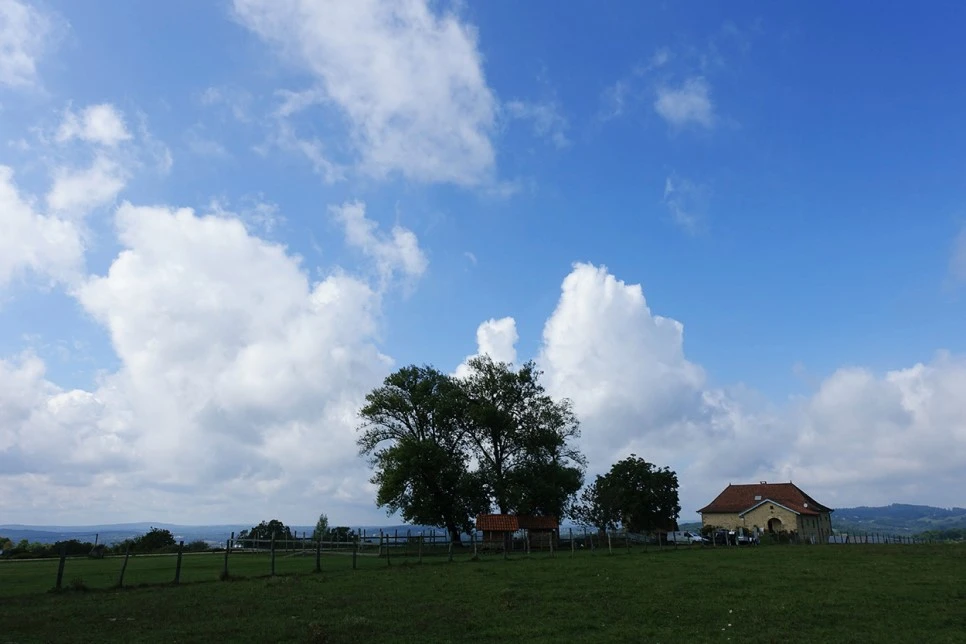 image_9660528771516117329386.jpg?type=w966