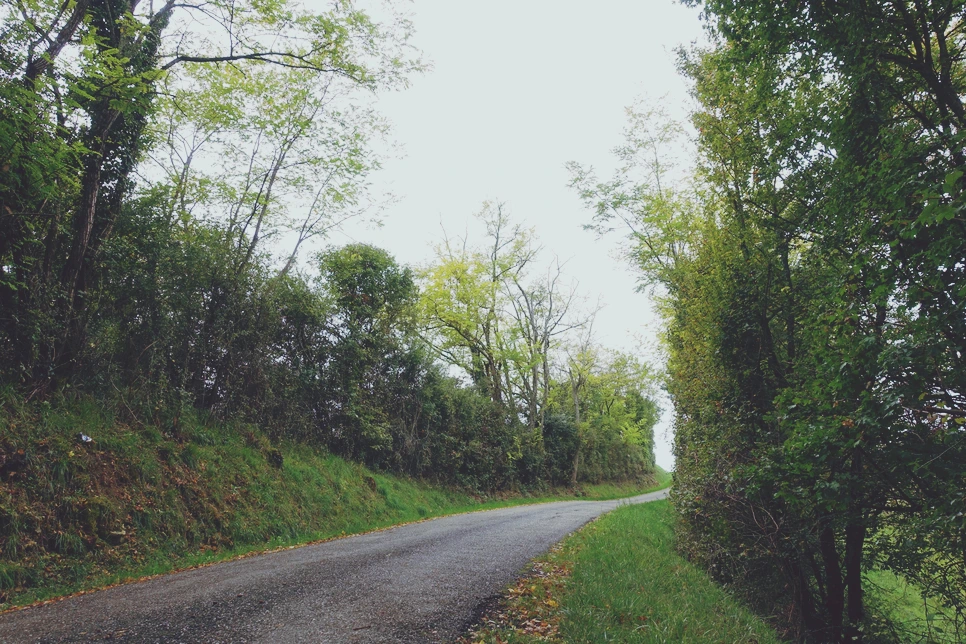 image_3082032041517115188108.jpg?type=w966