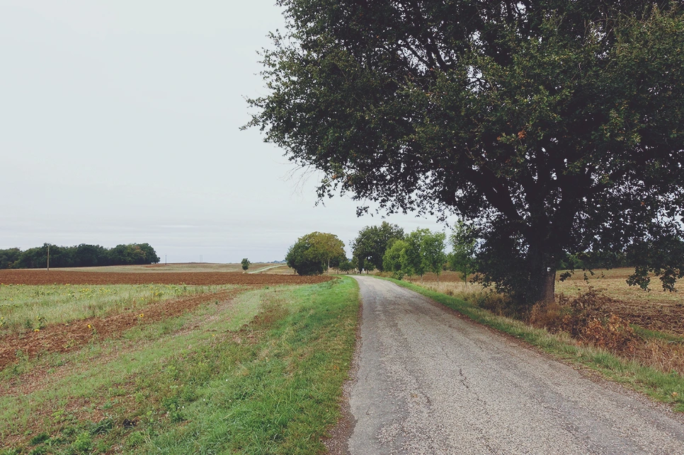 image_3499909091517114181162.jpg?type=w966