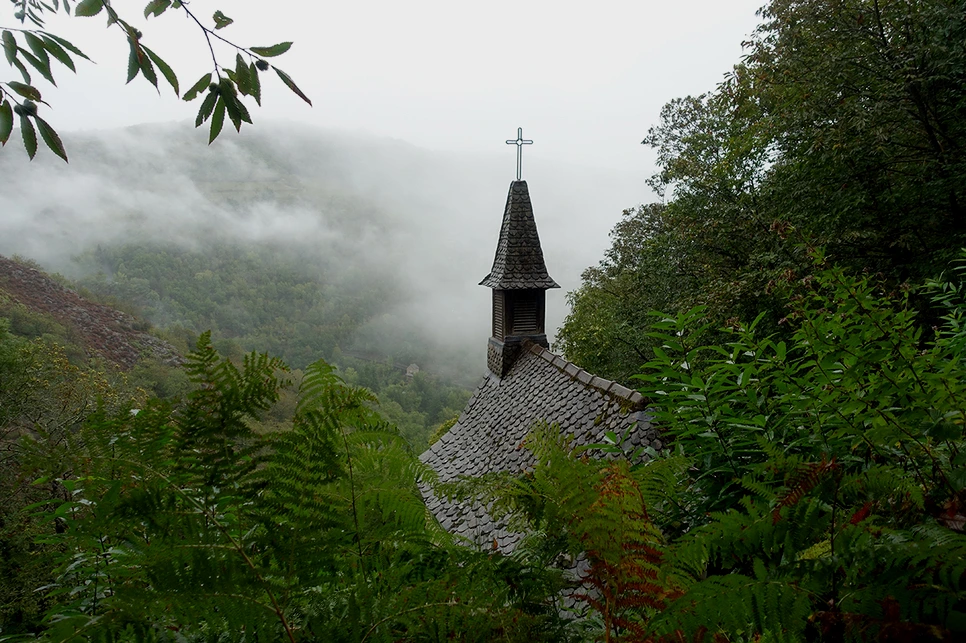 image_7728811721516115597438.jpg?type=w966