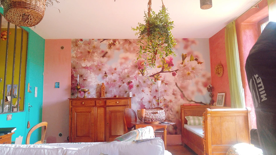 image_5107728761516115377443.jpg?type=w966