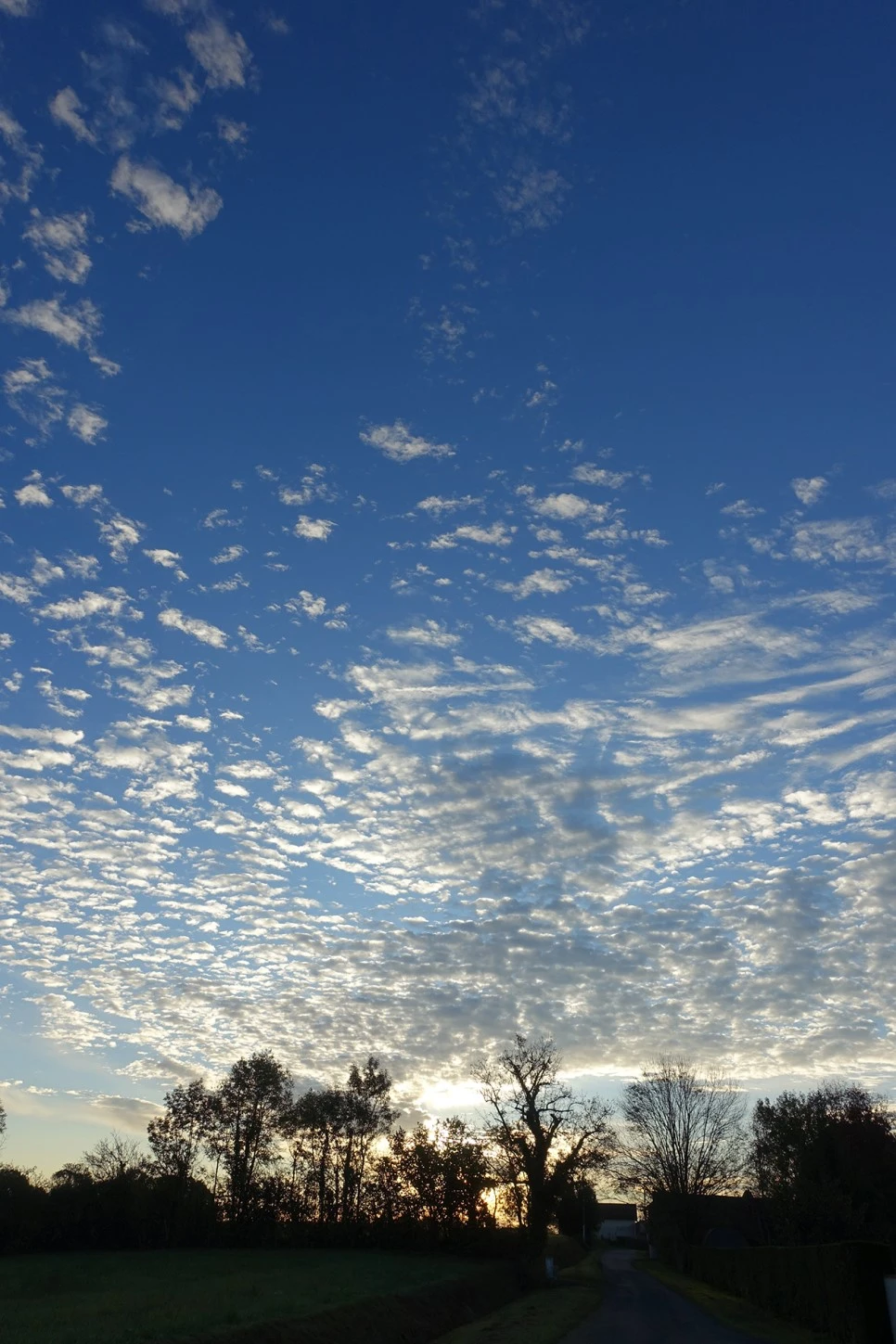 image_1479684741519039608633.jpg?type=w966