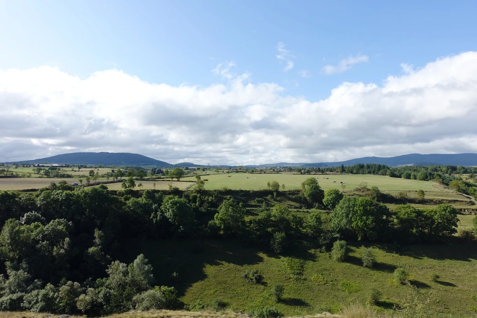 image_8185707171514899296279.jpg?type=w966