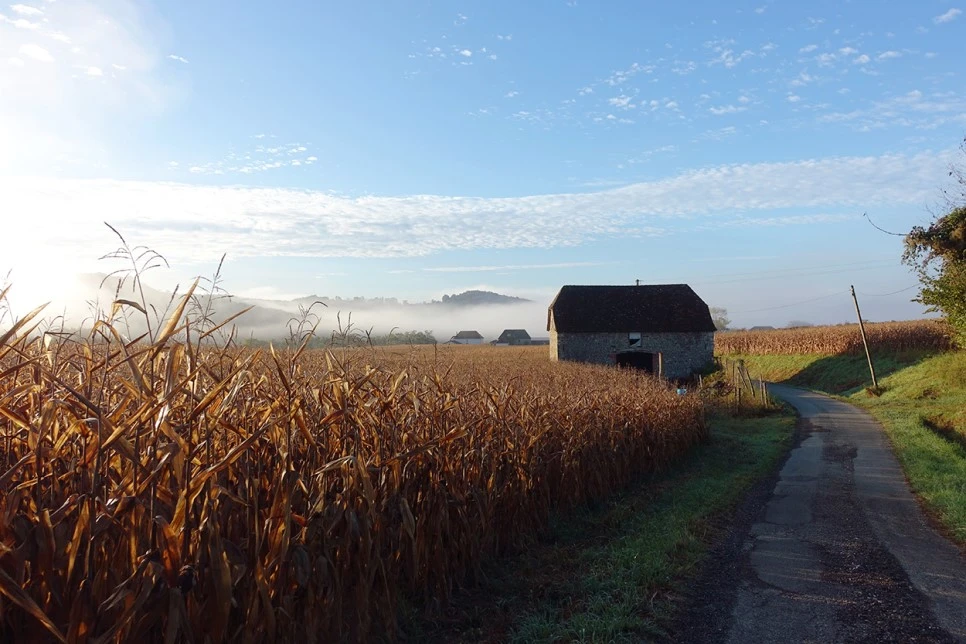 image_1056250241519039608640.jpg?type=w966