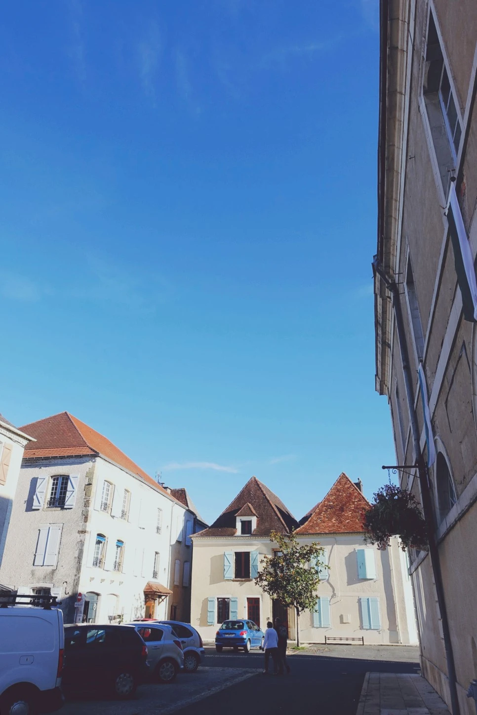 image_2415531241519039608649.jpg?type=w966