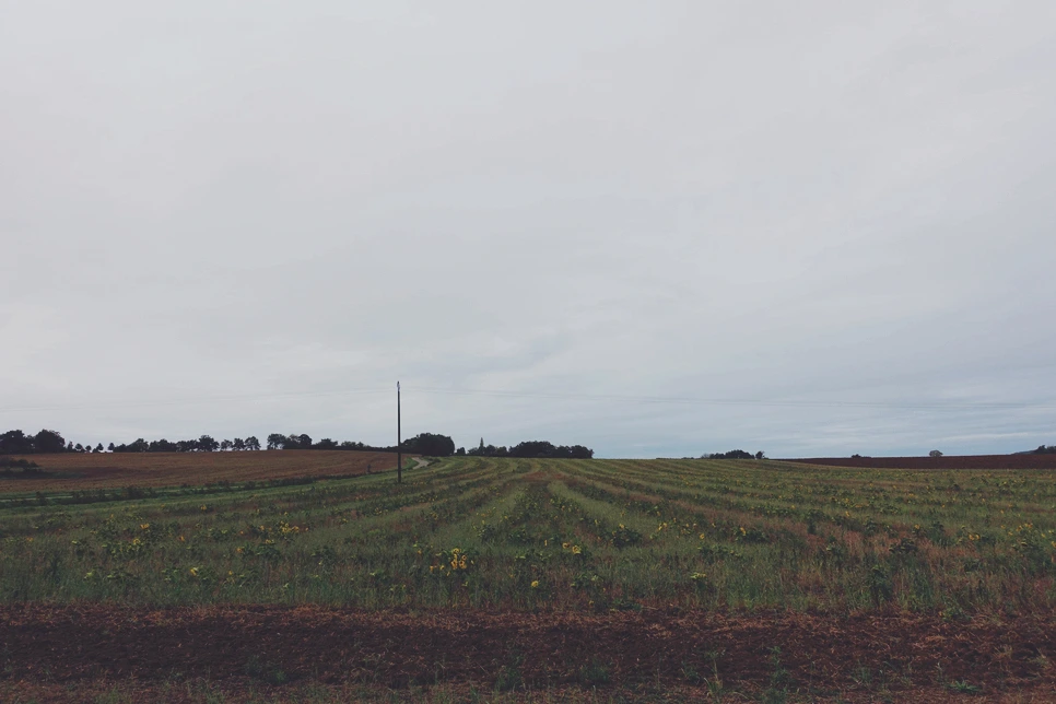 image_9610786481517115157541.jpg?type=w966