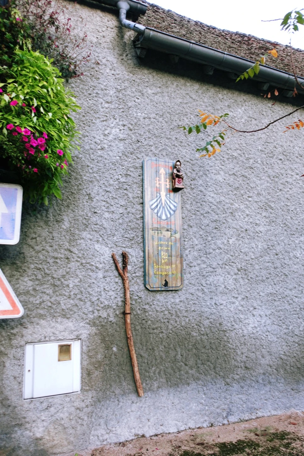 image_6137797861519039608626.jpg?type=w966