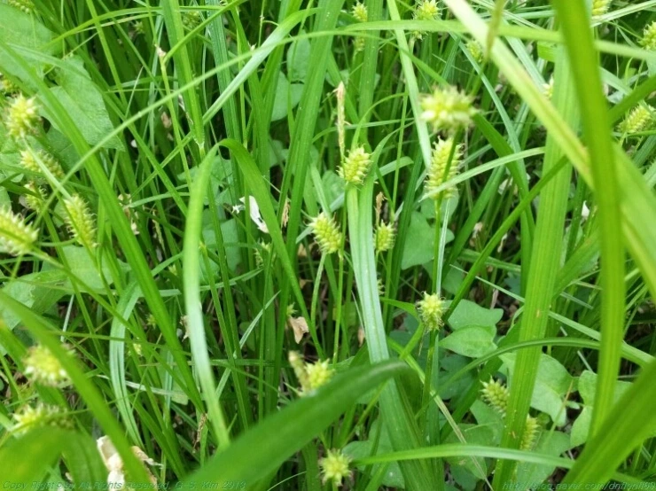 %C0%E2%C3%CA.jpg?type=w773