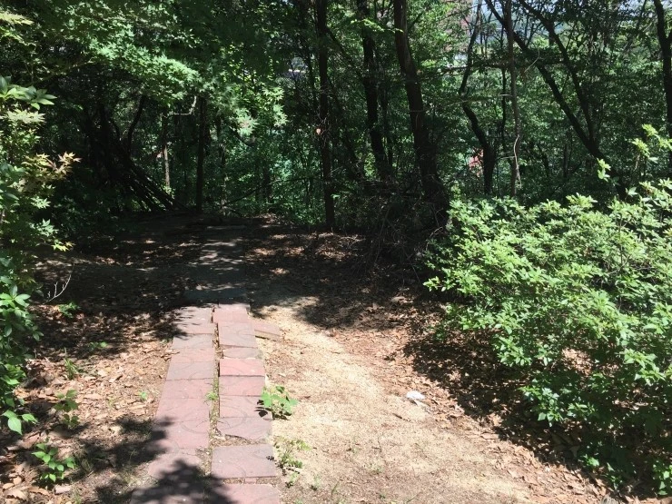 IMG_2561.JPG?type=w2