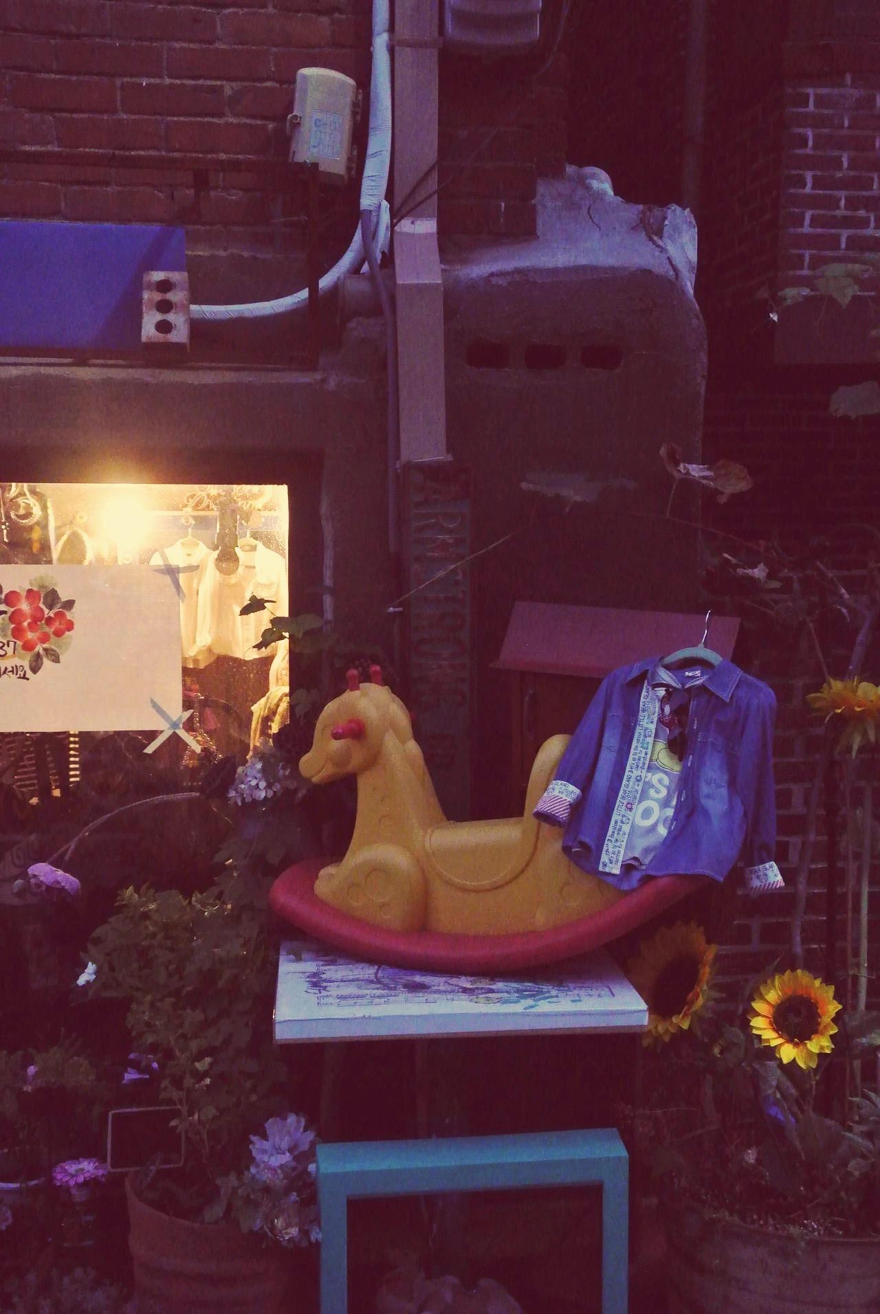 003안녕, 나는 이제 어른이 되어서 흔들리지 못해.JPG