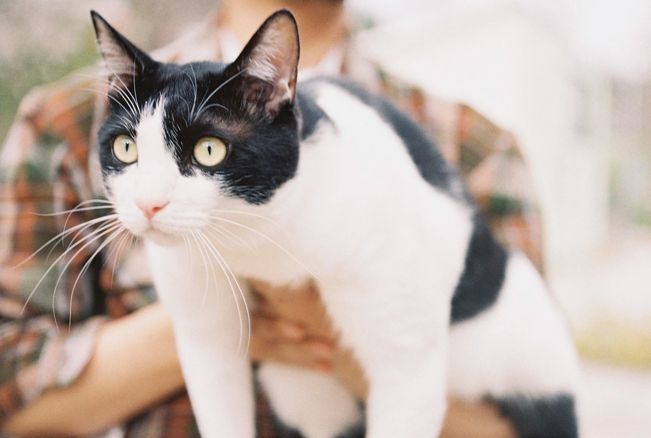 000010 (1)_막시.JPG