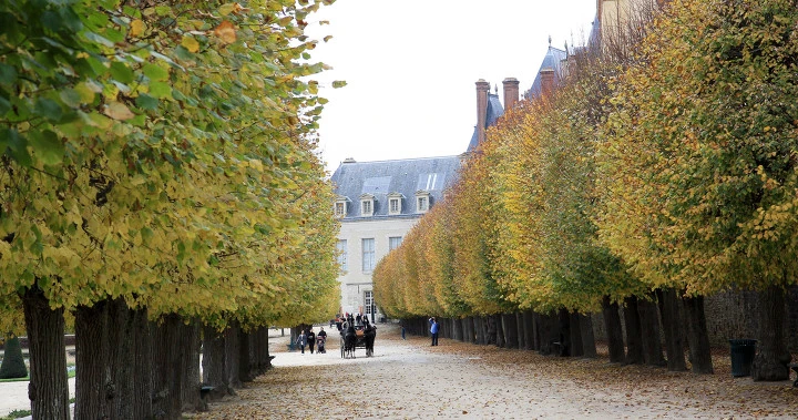 1654F8404F35FEBE0BA5A0