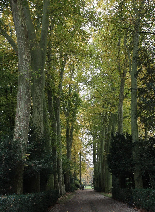 1164BC334F35FE9E117DF3