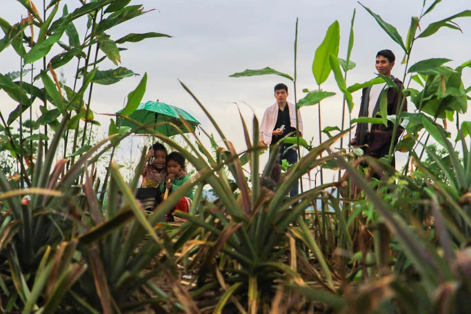 2240F64F5444B5DD32EE21