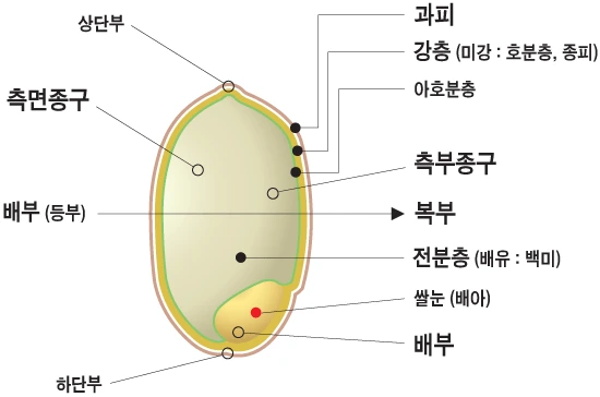 1551FA424E8ACDFB1514E6