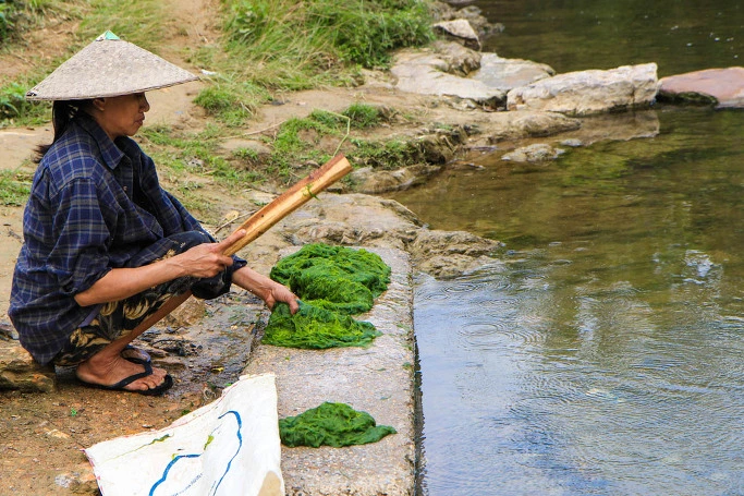 214EF94E5444B8423223F0