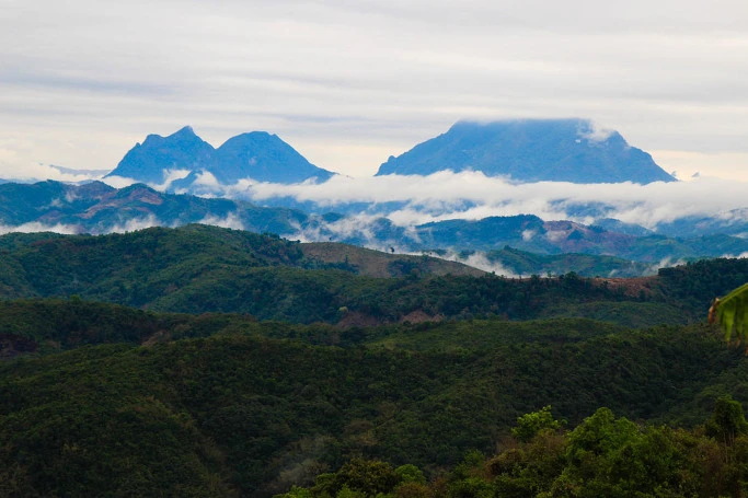 2604533554390A512BD3A0