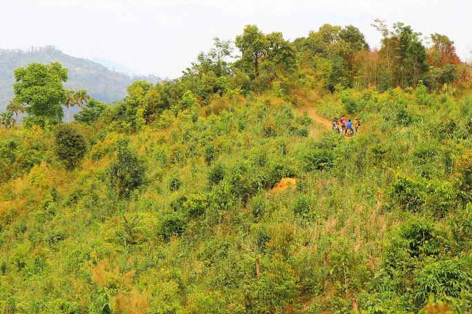 264CA74F5439052B1DB4F7