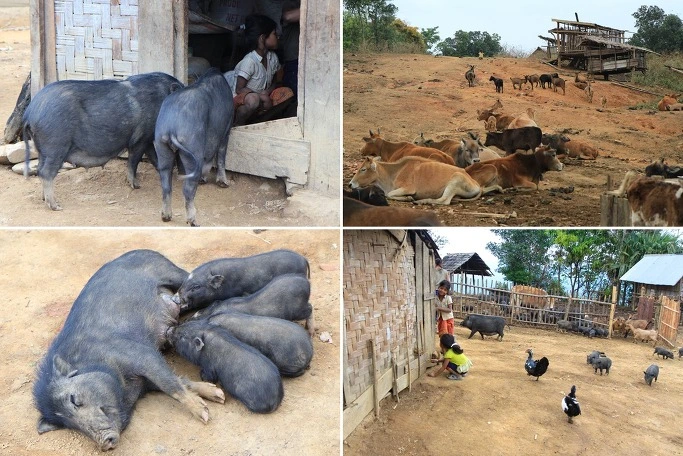 27350F4C543908DE04812C