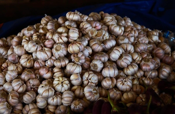 2663093F53A0ED36012083