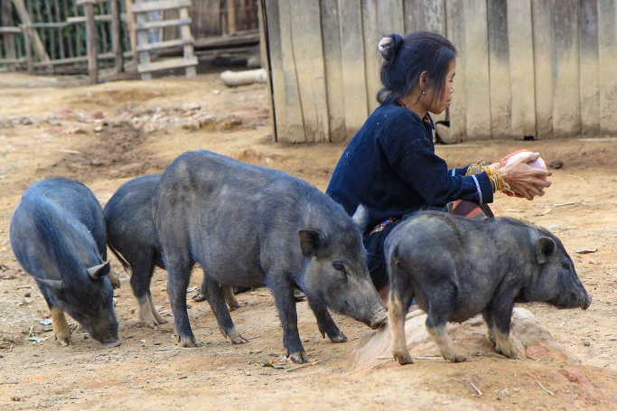 2140E138543903950421AD