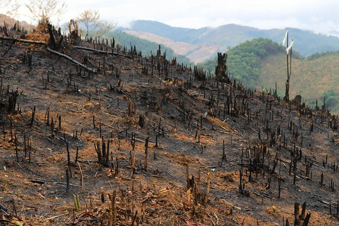 215F30505444B8C90148AB