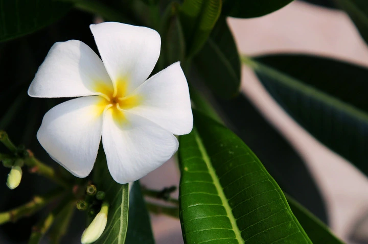 2765B6415313E04107B1C0