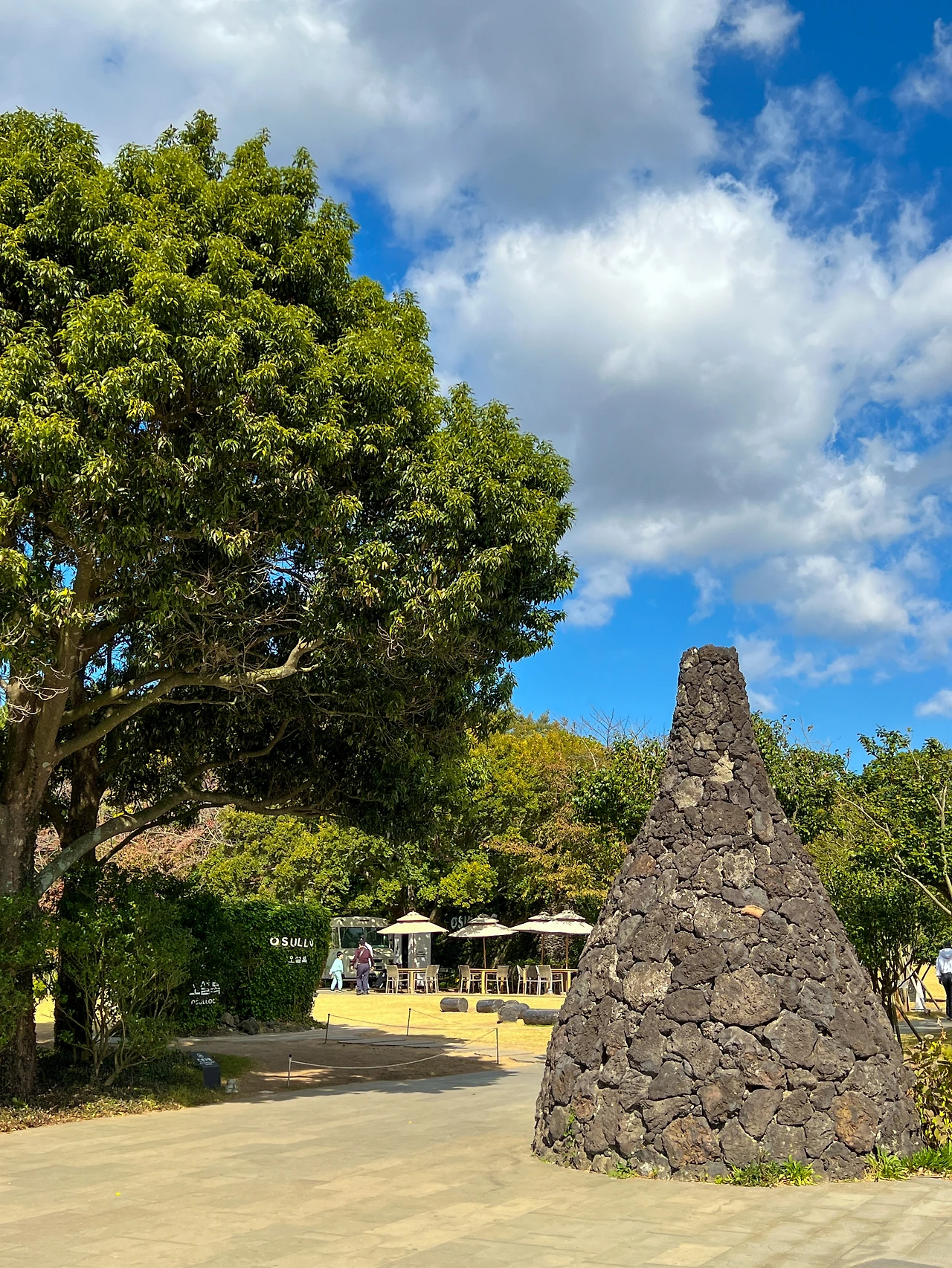 IMG_8684 - 복사본.JPG