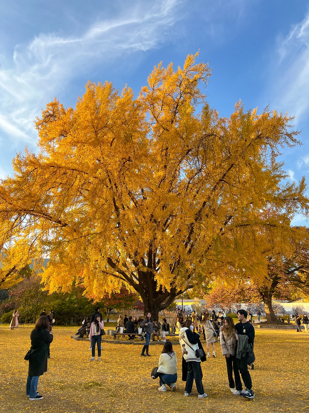 IMG_8816 - 복사본.JPG