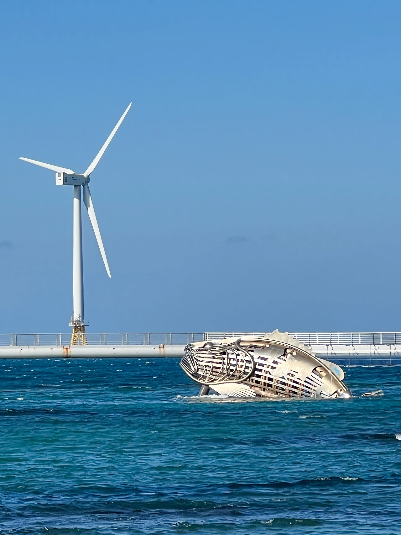 IMG_8692 - 복사본.JPG