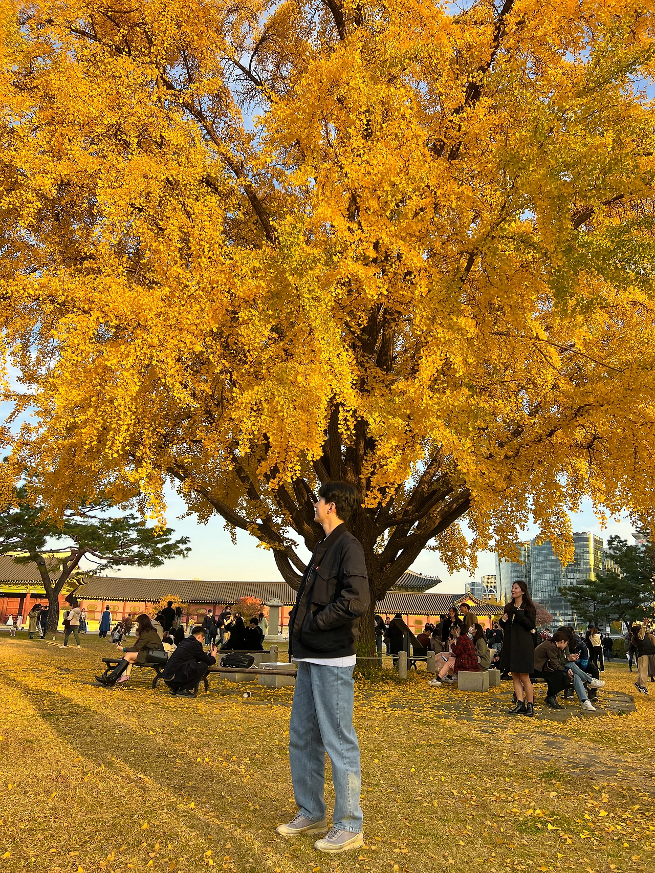 IMG_8836 - 복사본.JPG