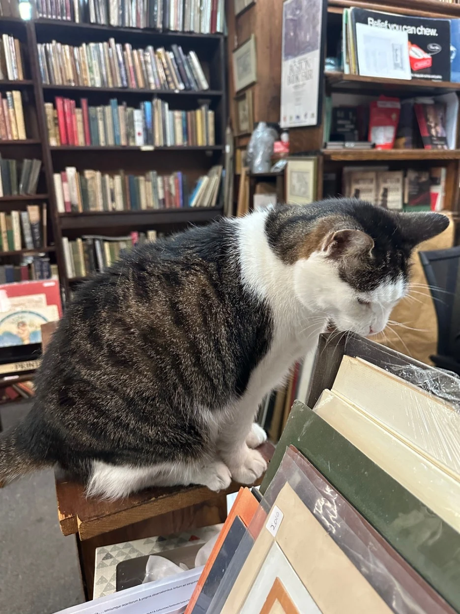 SE-7813a333-e5a4-4522-b13a-86db81ed016d.jpg?type=w1