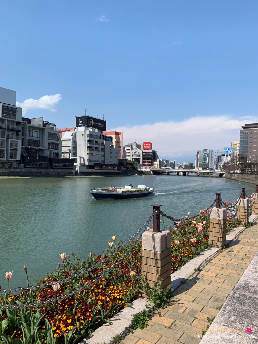 SE-a373b948-1eda-4970-abe0-571c3a000175.jpg?type=w1