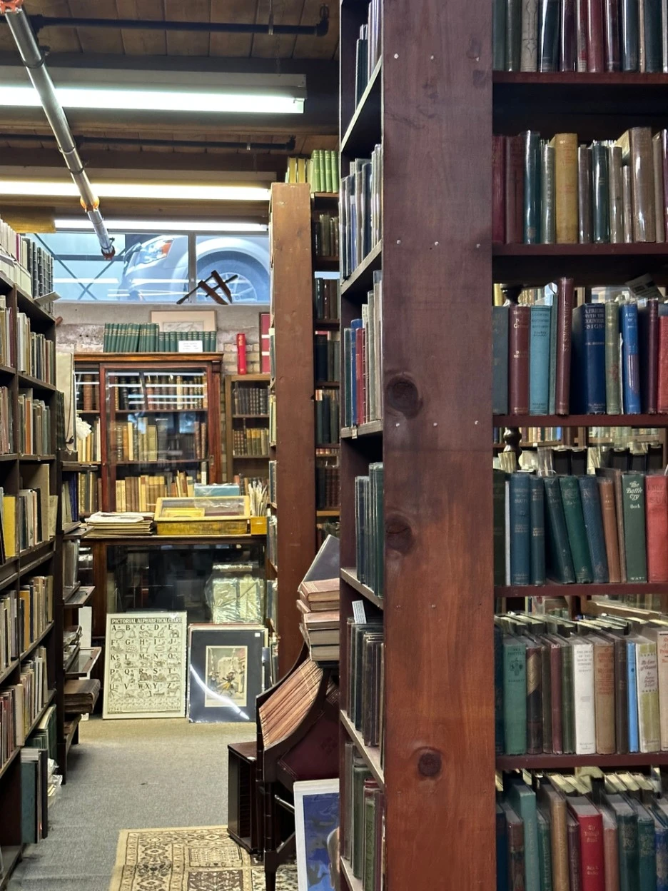 SE-09192b7d-0870-4ca9-991b-dbaa9be2098e.jpg?type=w1