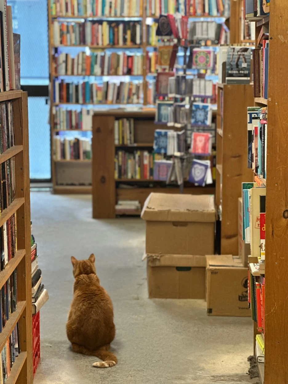 SE-4b79ebe0-ce9d-406b-bb06-d50d4ca86eac.jpg?type=w1