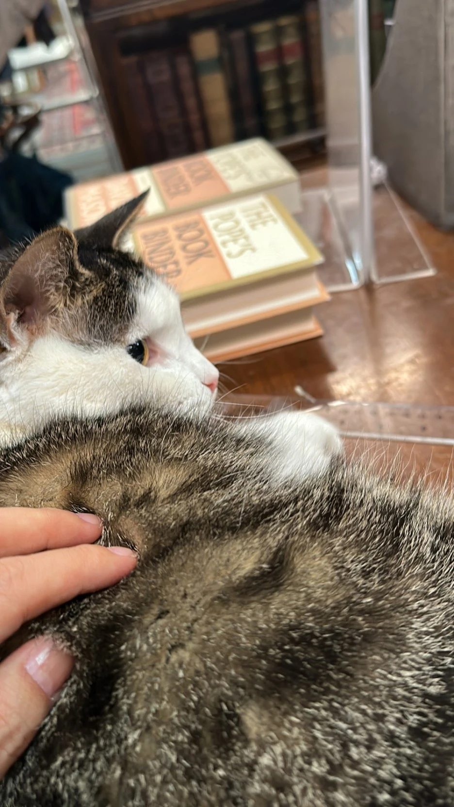 SE-905151ef-47f4-4c2d-8364-4dcc8e9bcf08.jpg?type=w1