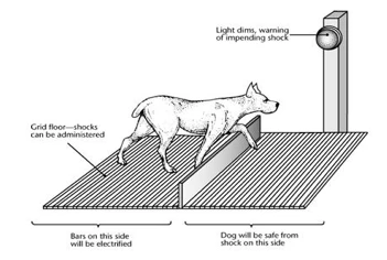 193C3A154C00424B29DF0E