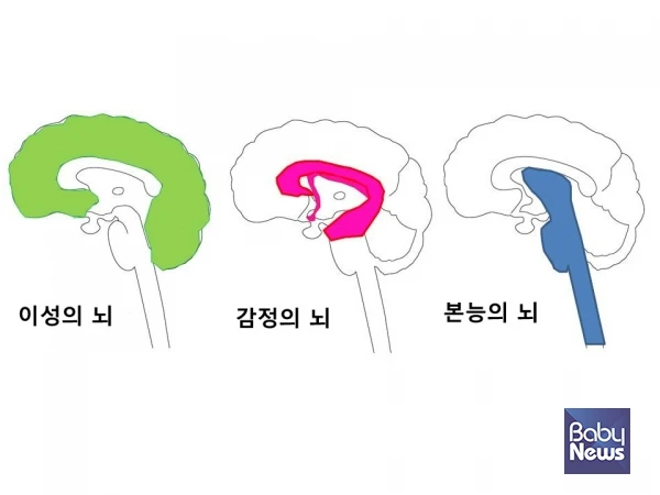 brain-3.png?type=w800