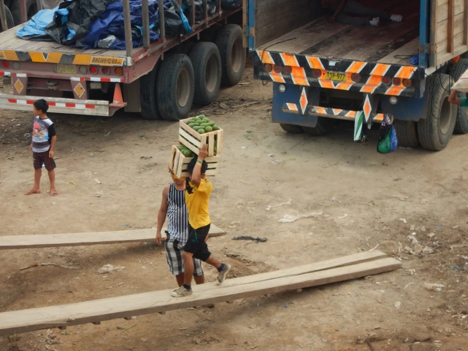 DSCN4959.JPG?type=w1