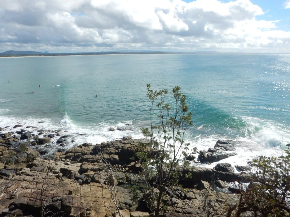 DSCN0394.JPG?type=w1