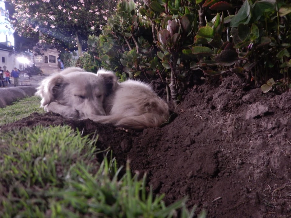 DSCN4334.JPG?type=w1